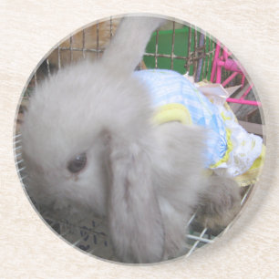 Een Cute Bunny Rabbit in een dress Zandsteen Onderzetter