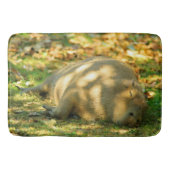 Een Cute Capybara Dreams in de zomer van de zon Badmat (Voorkant)