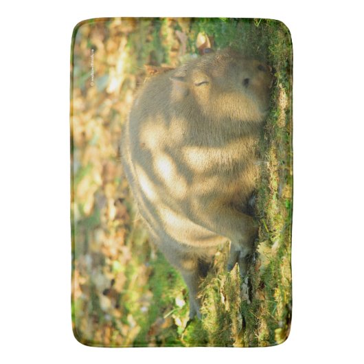 Een Cute Capybara Dreams in de zomer van de zon Badmat (Voorkant Verticaal)