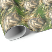 Een Cute Capybara Dreams in de zomer van de zon Cadeaupapier (Rol Hoek)