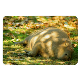Een Cute Capybara Dreams in de zomer van de zon Magneet