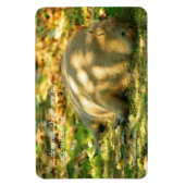 Een Cute Capybara Dreams in de zomer van de zon Magneet (Verticaal)
