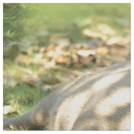Een Cute Capybara Dreams in de zomer van de zon Stof