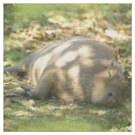 Een Cute Capybara Dreams in de zomer van de zon Stof