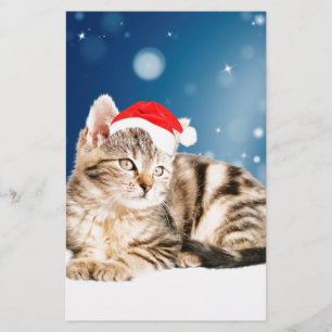 Een Cute Cat met een rode kerstkerstkleed Briefpapier