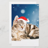 Een Cute Cat met een rode kerstkerstkleed Briefpapier (Voorkant / Achterkant)