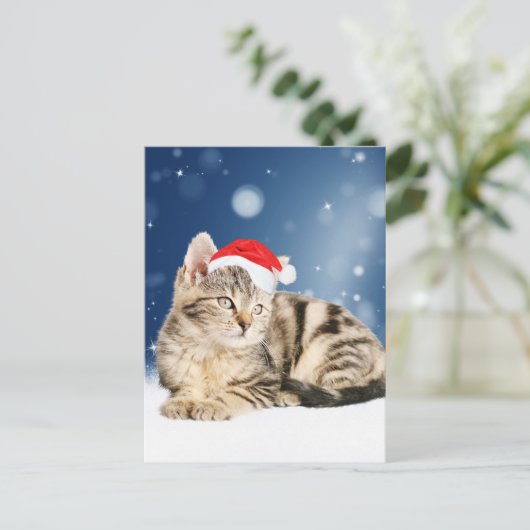 Een Cute Cat met een rode kerstkerstkleed Feestdagenkaart (Staand voorkant)