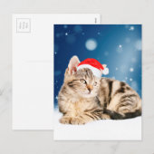 Een Cute Cat met een rode kerstkerstkleed Feestdagenkaart (Voorkant / Achterkant)