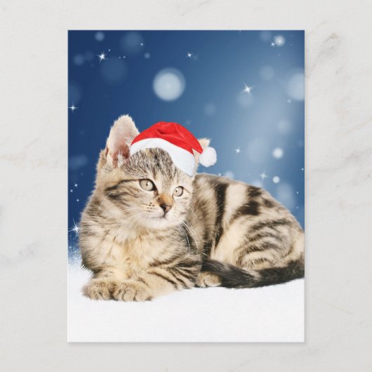 Een Cute Cat met een rode kerstkerstkleed Feestdagenkaart (Voorkant)