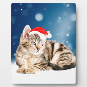Een Cute Cat met een rode kerstkerstkleed Fotoplaat