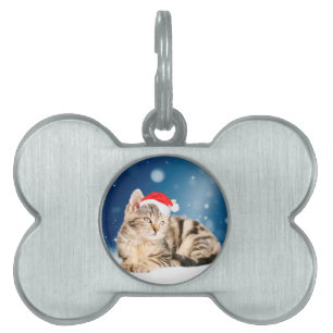 Een Cute Cat met een rode kerstkerstkleed Huisdieren Naamplaatje
