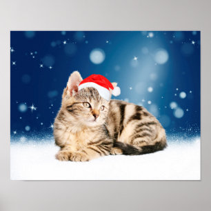Een Cute Cat met een rode kerstkerstkleed Poster