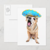 Een Cute Chihuahua in een halloween kostuum Briefkaart (Voorkant / Achterkant)