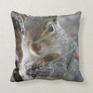 Een Cute Eekhoorn Met Pinda Schattige Decoratie Kussen