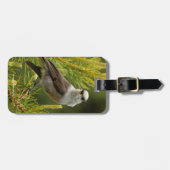 Een Cute en Curious Grey Jay/Whiskeyjack Bagagelabel (Voorkant horizontaal)