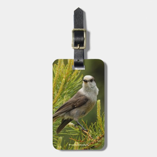 Een Cute en Curious Grey Jay/Whiskeyjack Bagagelabel (Voorkant verticaal)