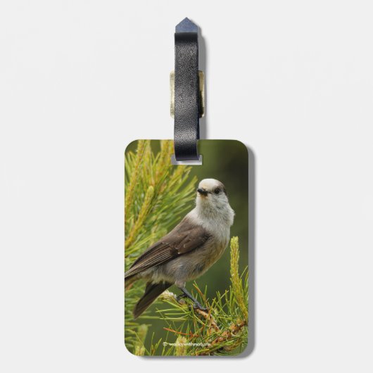 Een Cute en Curious Grey Jay/Whiskeyjack Bagagelabel (Achterkant verticaal)