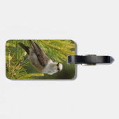 Een Cute en Curious Grey Jay/Whiskeyjack Bagagelabel (Achterkant horizontaal)