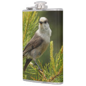 Een Cute en Curious Grey Jay/Whiskeyjack Heupfles (Links)