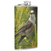 Een Cute en Curious Grey Jay/Whiskeyjack Heupfles (Rechts)