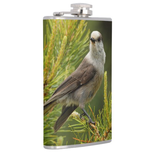 Een Cute en Curious Grey Jay/Whiskeyjack Heupfles (Rechts)