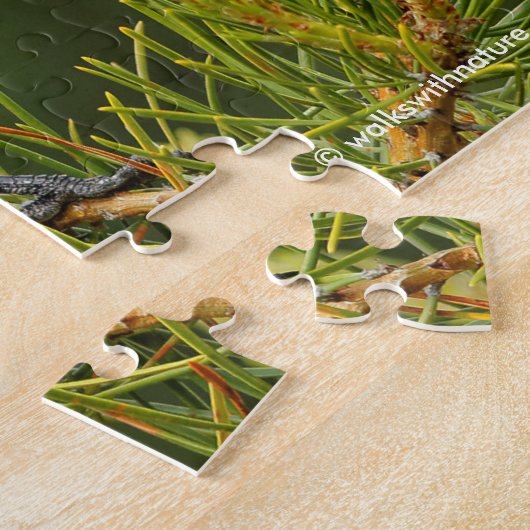 Een Cute en Curious Grey Jay/Whiskeyjack Legpuzzel (Zijkant)