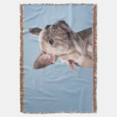 Een Cute French Bulldog Deken (Voorkant Verticaal)