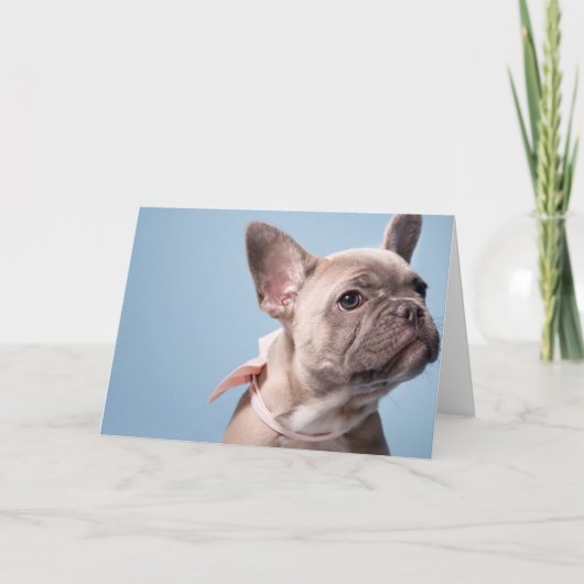 Een Cute French Bulldog Kaart (Voorkant)