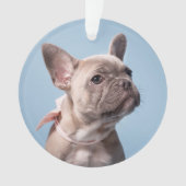 Een Cute French Bulldog Ornament (voorkant)