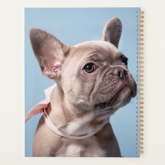 Een Cute French Bulldog Planner (Achterkant)