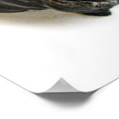 Een Cute French Bulldog Puppy Poster (Hoek)