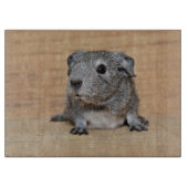 Een Cute Gray Guinee-schop op bruin hout Snijplank (Voorkant)