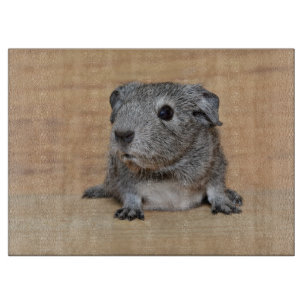 Een Cute Gray Guinee-schop op bruin hout Snijplank