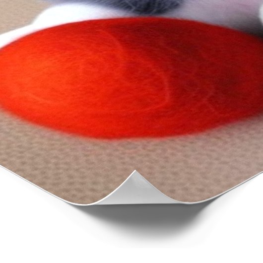 Een Cute Husky Puppy Poster (Hoek)