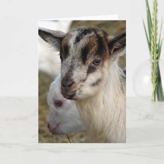 Een Cute Little Billy Kind Kaart (Voorkant)