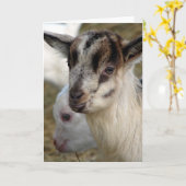 Een Cute Little Billy Kind Kaart (Gele Bloem)