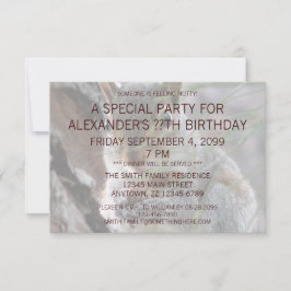 Een Cute Squirrel met Peanut Birthday Party Funny Kaart