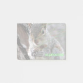 Een Cute Squirrel met pinda's op maat Post-it® Notes (Voorkant)