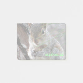 Een Cute Squirrel met pinda's op maat Post-it® Notes