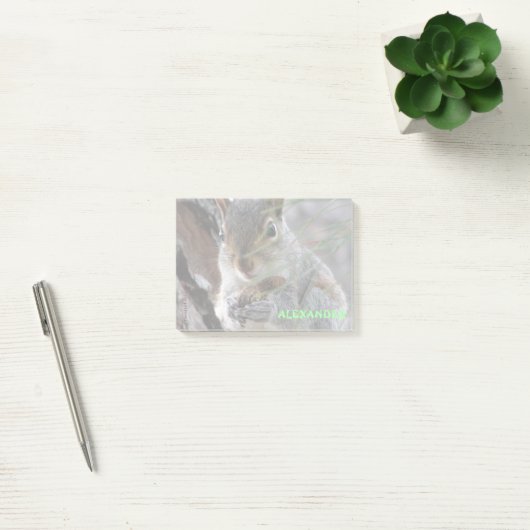 Een Cute Squirrel met pinda's op maat Post-it® Notes (Kantoor)