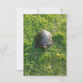 Een Cute Turtle in Park Blank Flat Card (Voorkant)