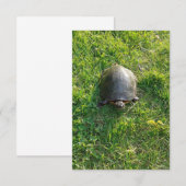 Een Cute Turtle in Park Blank Flat Card (Voorkant / Achterkant)