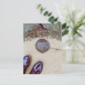 "Een dag aan de zijkant" - Hoefijzer krab Briefkaart (Staand voorkant)