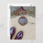 "Een dag aan de zijkant" - Hoefijzer krab Briefkaart (Voorkant / Achterkant)