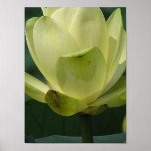 Een dag bij de vijver poster