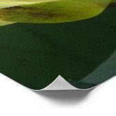 Een dag bij de vijver poster (Hoek)