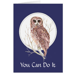 Een dag bij een Uil, Vogel, Natuur, Wildlife