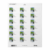 Een dag bij Ritter Springs-label Etiket (Full Sheet)