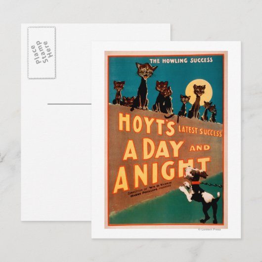 "Een dag en een nacht" Katten en muzikale honden Briefkaart (Voorkant / Achterkant)