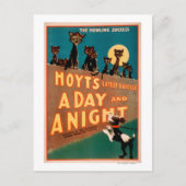 "Een dag en een nacht" Katten en muzikale honden Briefkaart (Voorkant)